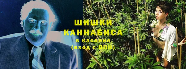 ALPHA PVP Осинники