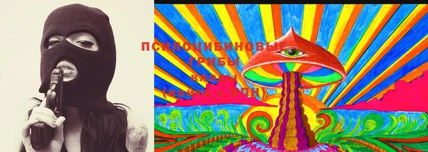 дурь Няндома