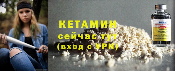 дурь Няндома
